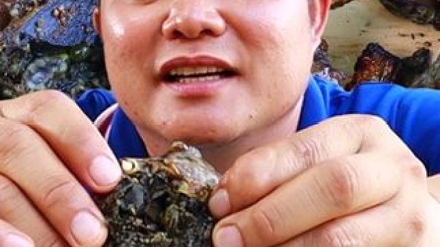 泰式️酸辣木瓜丝炭烤满籽小牛蛙 #泰国美食 #泰国生活 #户外美食 #泰国主播吃美食视频 #泰国大叔