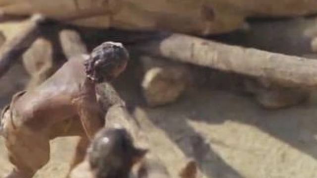 银河系漫游指南之古老的天文记忆 #太阳系 #银河 #宇宙 #儿童动画 #探索宇宙