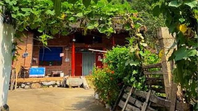 #走在乡间的小路上回忆童年时光 #家乡的味道  #山美水美家乡美 #远离城市的喧嚣#乡愁记忆