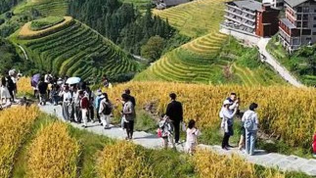 龙脊梯田又到了一年中最美的季节，这次你们不来，错过就要等明年了
