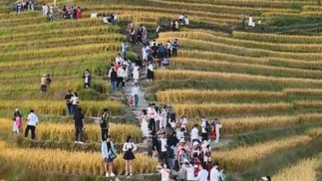 什么是旅游，旅游就是从自己活腻的地方，跑到别人活腻的地方去花掉自己的钱，让别人富起来，然后满身疲惫口