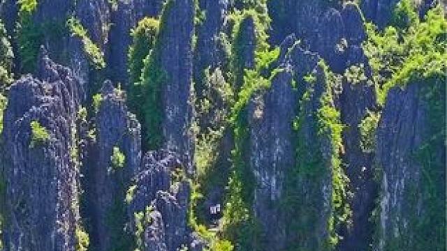 谁能想到广西南宁竟隐藏着这么奇特的石林，一条条峰柱就像美女发簪，难怪当地人叫金钗石林。#大自然的鬼斧