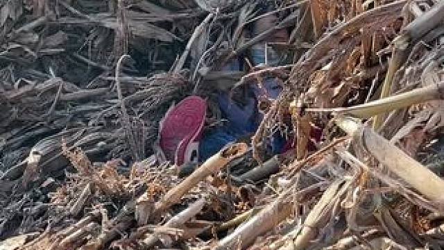 这车 去年今天给我撂沟里了
你们想看的动图第一视角#回村后的我 #田间地头 #乡愁记忆 #农村生活