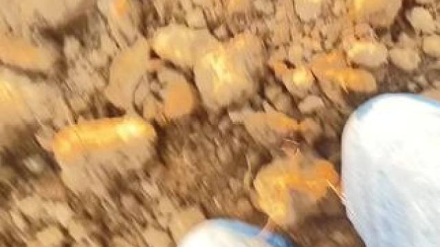 大家想看撂地头撵上没有
谁给的勇气发出来
大门牙差点没磕掉#田间地头 #乡愁记忆  #农村生活