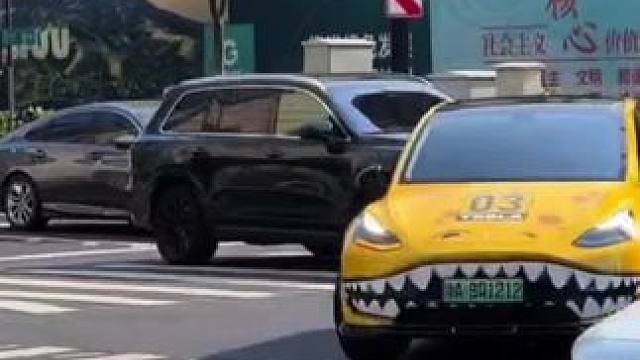 特斯拉Modely:你们会选择把自己的爱车贴个膜，换个壁纸吗？#特斯拉modely #model y