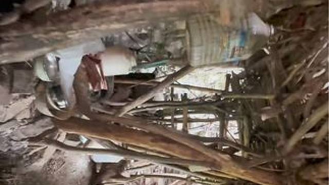 老人独自一人居住在他搭建的木屋里几十年，虽然简陋，但与世无争，这里没有房贷，车贷套路贷，没有尔虞我诈