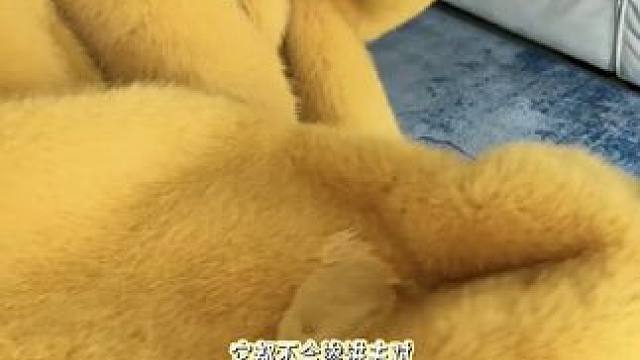 #今天穿什么 #冬季必备 #拿捏韩剧氛围感的大衣 #谁穿谁好看