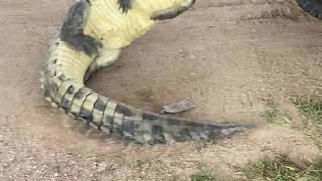 喝好酒，少喝酒
#一花一个新世界 #X