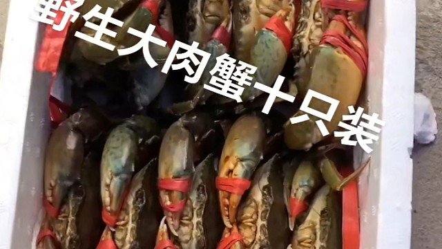 野生大肉蟹大公蟹发货