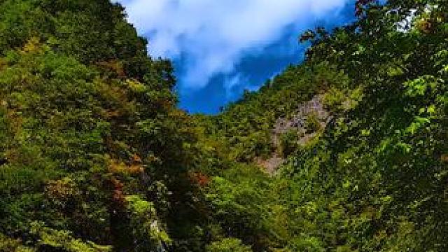 国道210陕西西安市分水岭附近沿途肠子峡秋色 #最美的风景在路上 #旅行推荐官 #秦岭