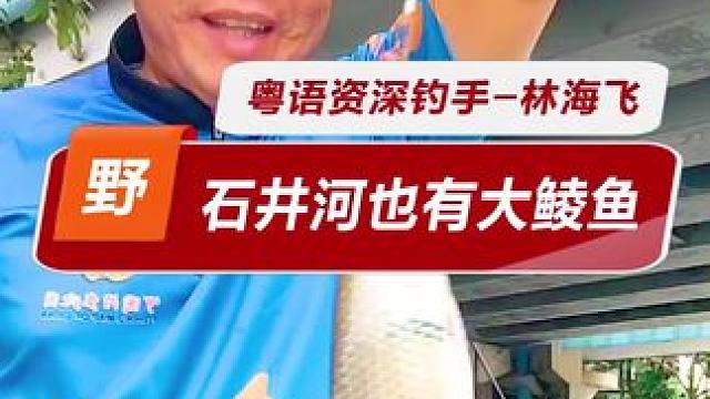 站着钓鱼腰真疼 站住说话不腰疼，站着钓鱼腰真疼，石井河试钓一小时，大物横行，我还是你保守了，03新关