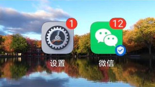 在手机上如何快速查询话费和流量余额 #手机使用技巧 #微信使用小功能