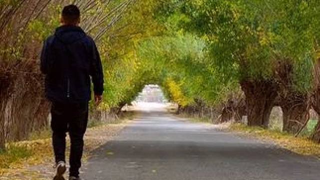 “喜欢这一刻的氛围”安静  自由！#治愈系风景 #给秋天点颜色看看 #乡间小路自然风景 #这个风景足