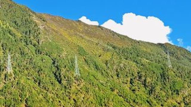 #分享在旅途发现的惊喜 #治愈系风景 #感受大自然的气息和美景 #旅行推荐官 #随手一拍都是美景