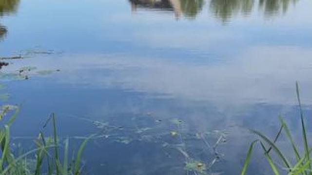 你以为是一支笔，其实是~ #玩个很新的东西  #鱼竿