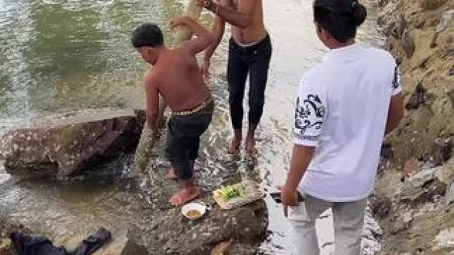 矮子户外抓鱼 #泰国生活 #户外抓鱼