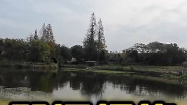 钓鱼不打窝，钓的也很多，今天野钓又过了一把小瘾#钓鱼的乐趣只有钓鱼人懂 #钓鱼人就是这么疯狂 #探索