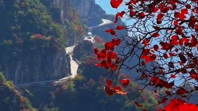 岁月不及念， 一晃又一秋
渐寒 添衣、无病 安好……