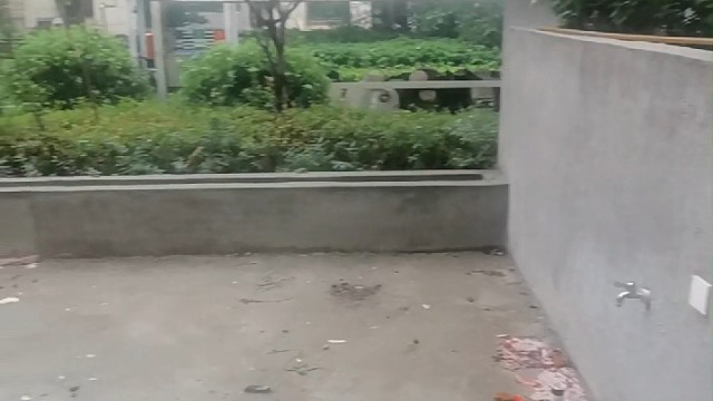 阜阳颍州区城南双清湾旁