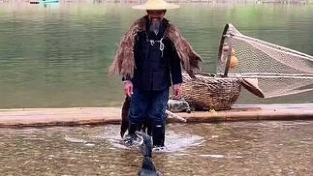 #山青水秀好风光游山逛水看风景 #就想在桂林看山山水水 #旅行推荐官