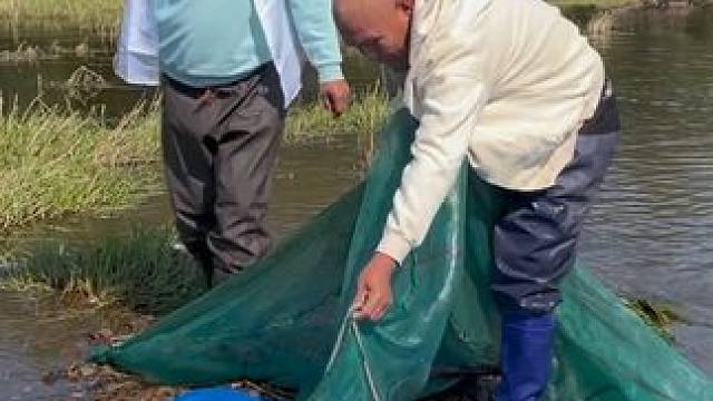 #户外捕鱼 #好多鱼