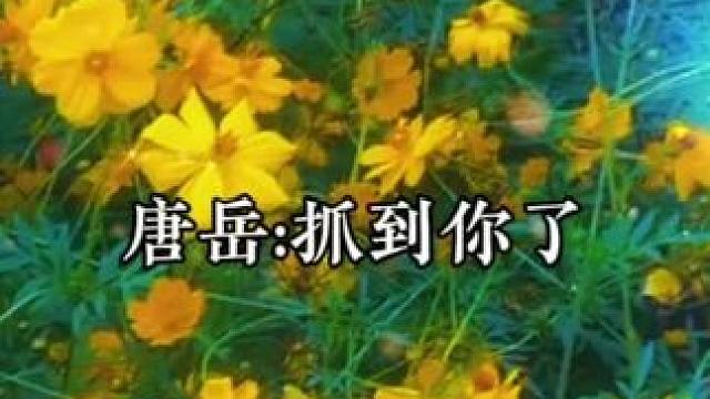 脑婆不听话怎么办，只能宠着了 #广播剧 #甜宠