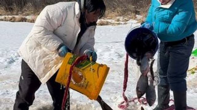 #户外捕鱼 #好多鱼