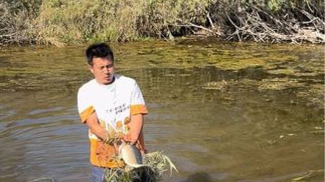 #户外捕鱼 #好大一条鱼