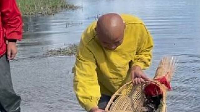 #户外捕鱼 #好多鱼