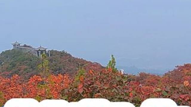 长寿山 #治愈系风景 #河南刚哥#志刚在路上