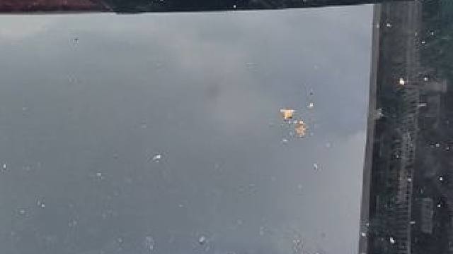 鸟也会窜稀吗？ #日常