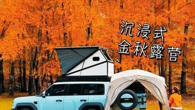 沉浸式床车生活，拥有小猪佩奇房车到底有多爽？ #户外露营#床车生活#小猪佩奇#秋天露营的正确打开方式