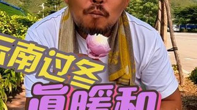 云南过冬首选元江，太暖和啦，下集#自驾游 #户外野餐