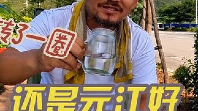 沙和尚西双版纳转了一圈，还是回到了玉溪元江，这里太好了#自驾游