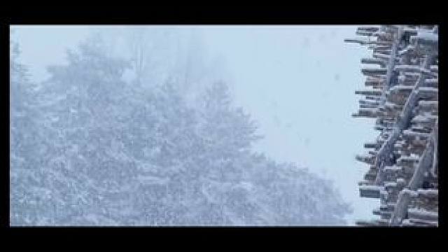 明太鱼#地方特色美食 #美食分享 #好食材好味道 #人气美食