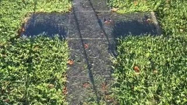 澳洲修剪王，一人工作全家无忧。 #强迫症看了很享受 #男人减速带 #解压视频 #草坪修剪 #极度舒适