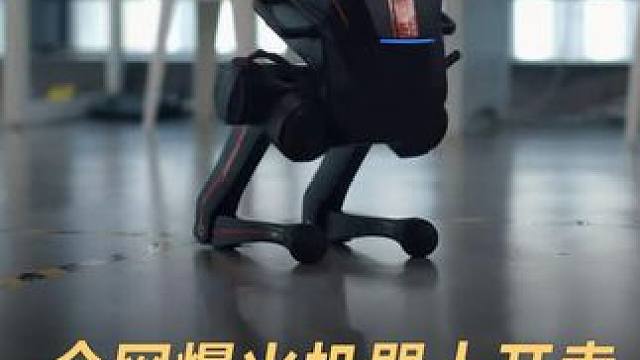 全网爆火机器人开卖，6.98万元 买一得三 #机器人  #人工智能  #逐际动力  #人形机器人  