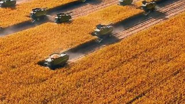 中国的大粮仓北大荒。#北大荒 #丰收的季节 #黑土地 #旅行推荐官