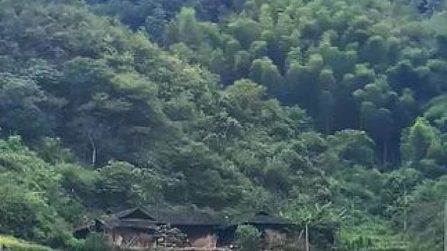 以后肯定也不会回来了，留着这座老宅有啥用呢？#老房子的回忆 #大山深处 #隐藏在大山里的世外桃源 #