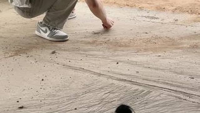 我发布了一个新视频，快来围观吧！