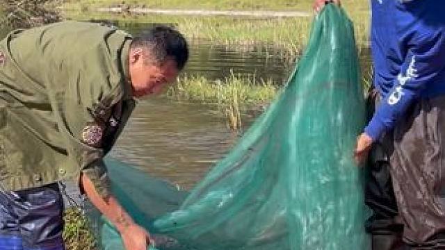 #户外捕鱼 #好多鱼