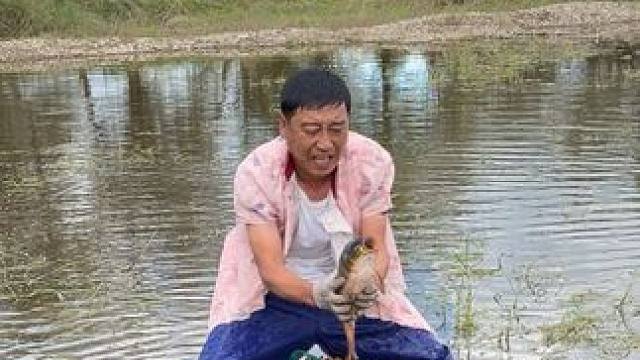 #户外捕鱼 #好大一条鱼