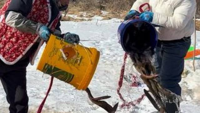 #户外捕鱼 #好多鱼