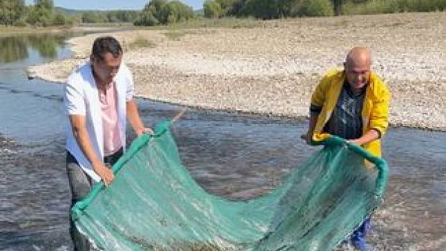 #户外捕鱼 #好多鱼