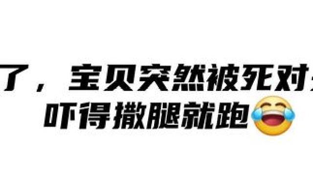 笑不活了，宝贝突然被死对头表白后吓得撒腿就跑 #推文  #广播剧 #甜宠