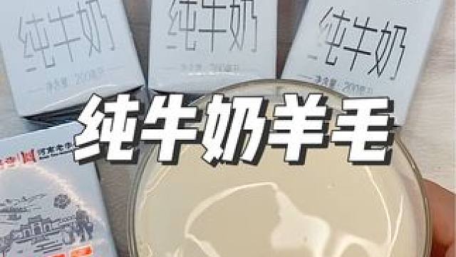 河南白马寺纯牛奶也太划算了吧！醇厚浓郁就像抿了一口淡奶油#纯牛奶 #超便宜超划算 #谁懂啊真的很好喝