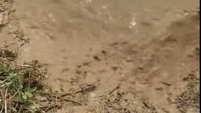 你失约的海 我替你看了