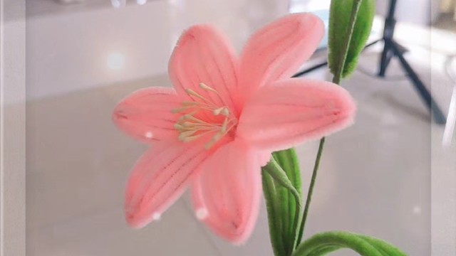 唯有热爱生活，才能收获快乐的果实