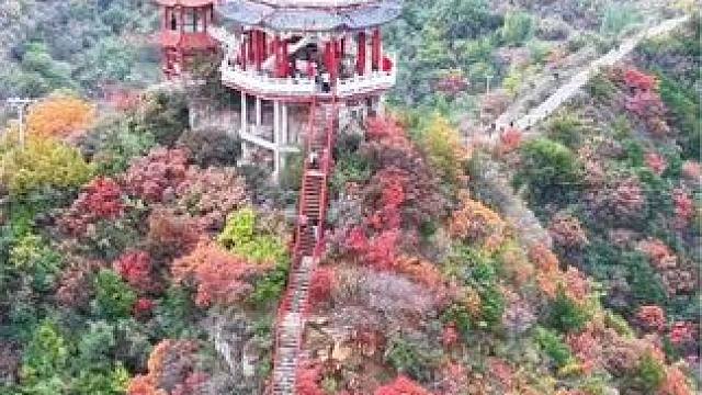 瑟瑟秋风千千结，不来太行山，不知秋色的魅力，赏红叶，这里不会让您失望，龙卧岩的红叶正是观赏期，可以自