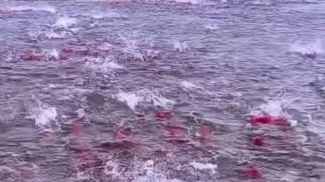 见者好运连连，财源滚滚，心想事成
祝大家，祝我下半年明年以后每一年
咸鱼翻身 财源广进
#见锦鲤者发